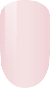 Pink Daisy