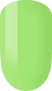 Spearmint