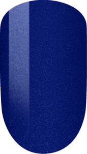 The King's Navy
