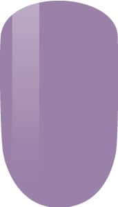 Lavender Fields