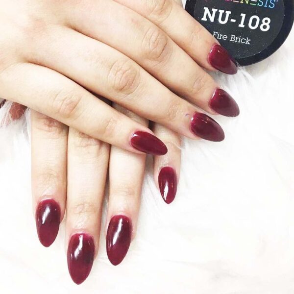 NU 108 Fire Brick