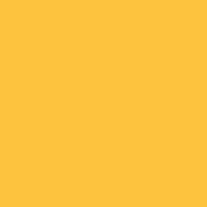 NU 95 Sunflower