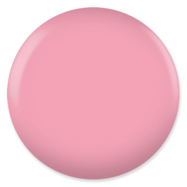 Shy Blush #646